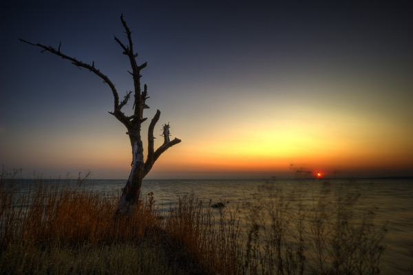 Artem Nosenko: sunset tree water clouds
