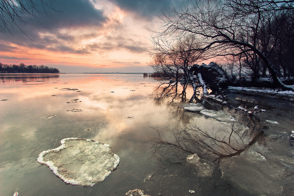 Artem Nosenko: water ice trees nature 